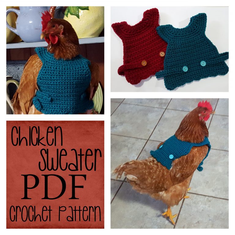 Chicken Sweater Crochet Pattern Jasmine Art Works